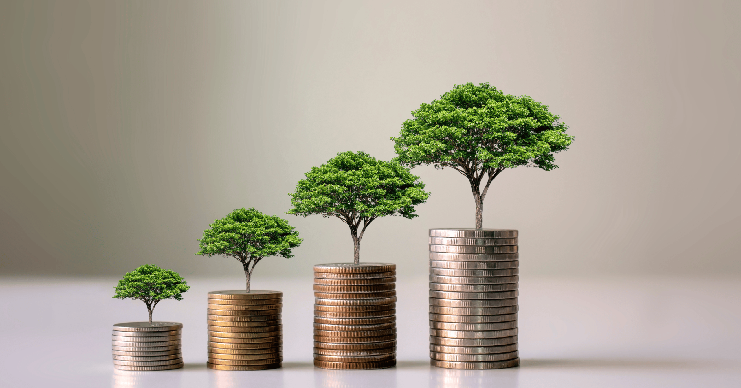 سرمایه‌گذاری بلندمدت