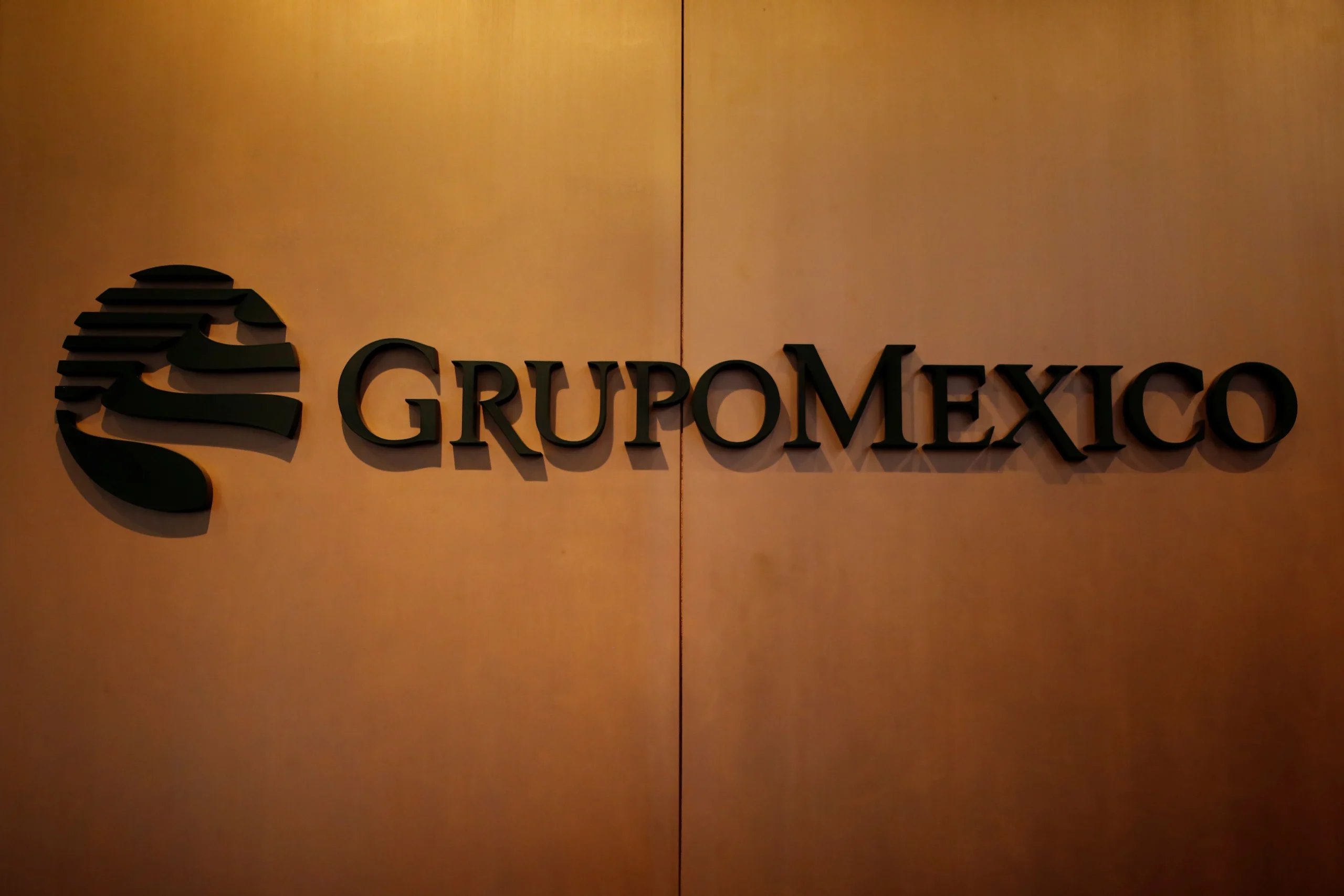 Grupo Mexico Sees 17% Profit Surge on Rising Metal Prices